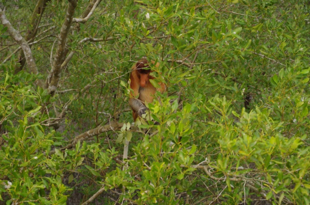 Crédit Mathilde Vinceneux Crédit Mathilde Vinceneux