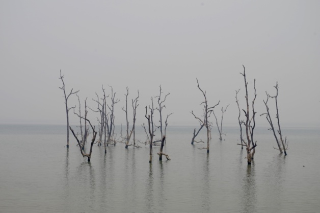 Crédit Mathilde Vinceneux Crédit Mathilde Vinceneux