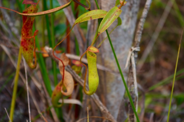 Crédit Mathilde Vinceneux Crédit Mathilde Vinceneux