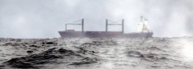 Crédit Cyrille le Déaut Crédit Cyrille le Déaut