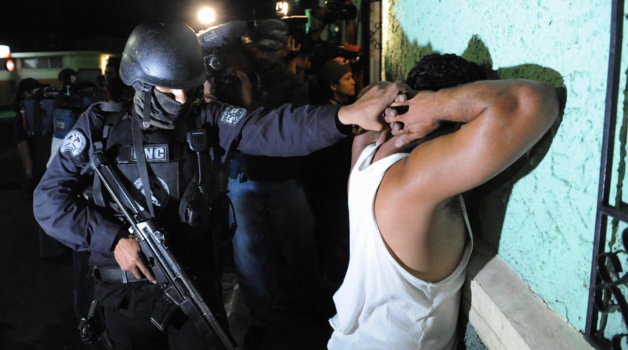 Crédit Michael Bush Crédit Michael Bush