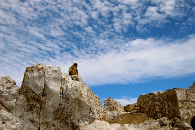 Crédit Eugénie Rousak Crédit Eugénie Rousak