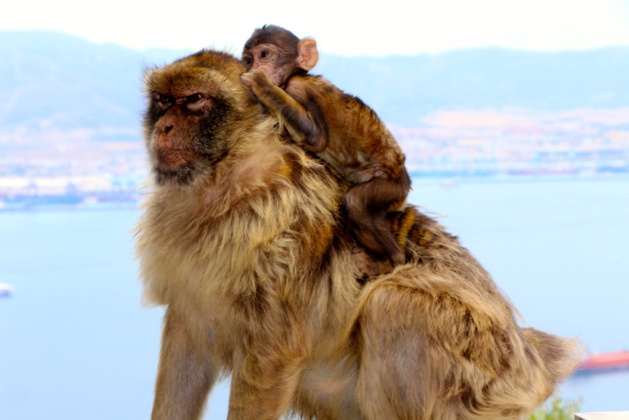 Crédit Eugénie Rousak Crédit Eugénie Rousak