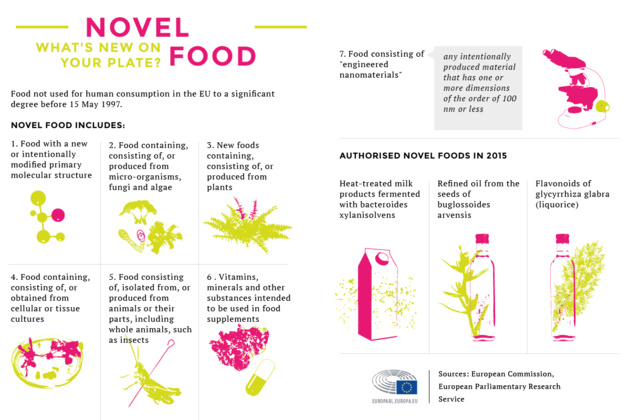 Insetti e nanomateriali: l'alimentazione del futuro è pericolosa? Insetti e nanomateriali: l'alimentazione del futuro è pericolosa?