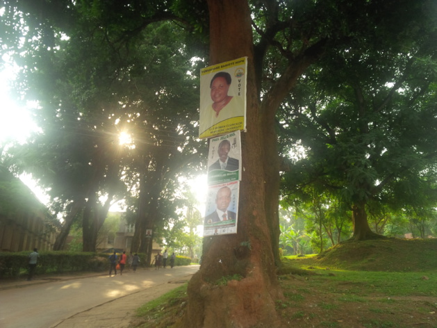 Crédit Noé Michalon Crédit Noé Michalon