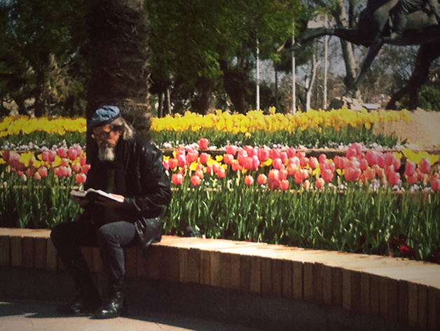 Crédit : Chloé Marchal Crédit : Chloé Marchal