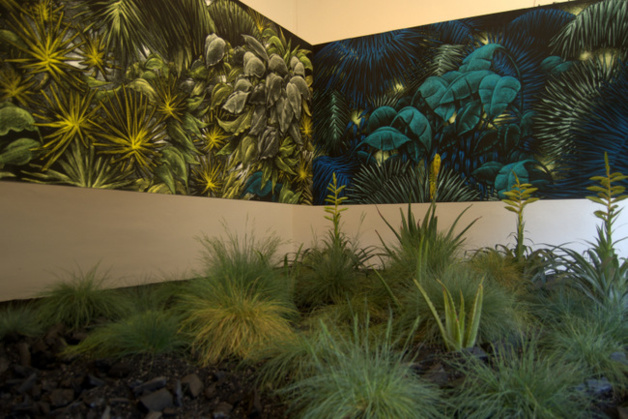 crédits Auriane Guiot crédits Auriane Guiot