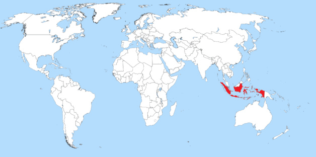 Indonésie : des baleines-pilotes piégées par la marée basse Indonésie : des baleines-pilotes piégées par la marée basse