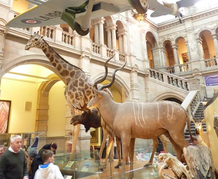 Crédit Photo --- Alice Quistrebert | Le Journal International Crédit Photo --- Alice Quistrebert | Le Journal International