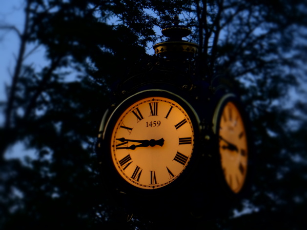 Photo credit Alina Teodorescu Photo credit Alina Teodorescu