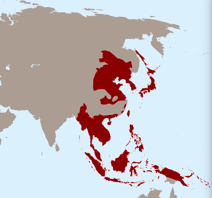 L'Empire Japonais au XXème siècle. Crédit DR
