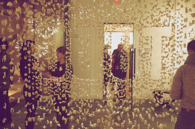 Credito Yuli Scheidt Credito Yuli Scheidt