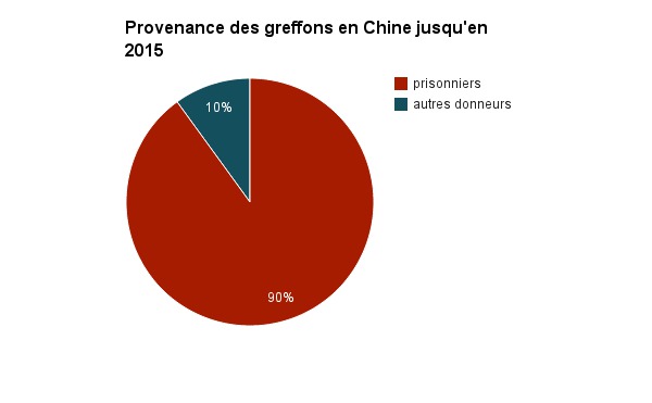 Foto : Justine Jankowki Foto : Justine Jankowki