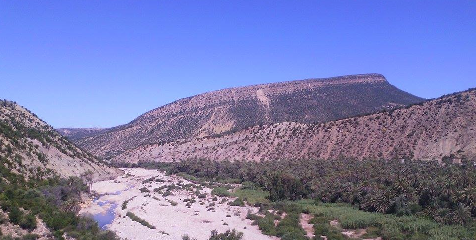 Vue de la chaîne montagneuse de l’Atlas et de la fin de l’oasis - Crédit Carolina Duarte de Jesus