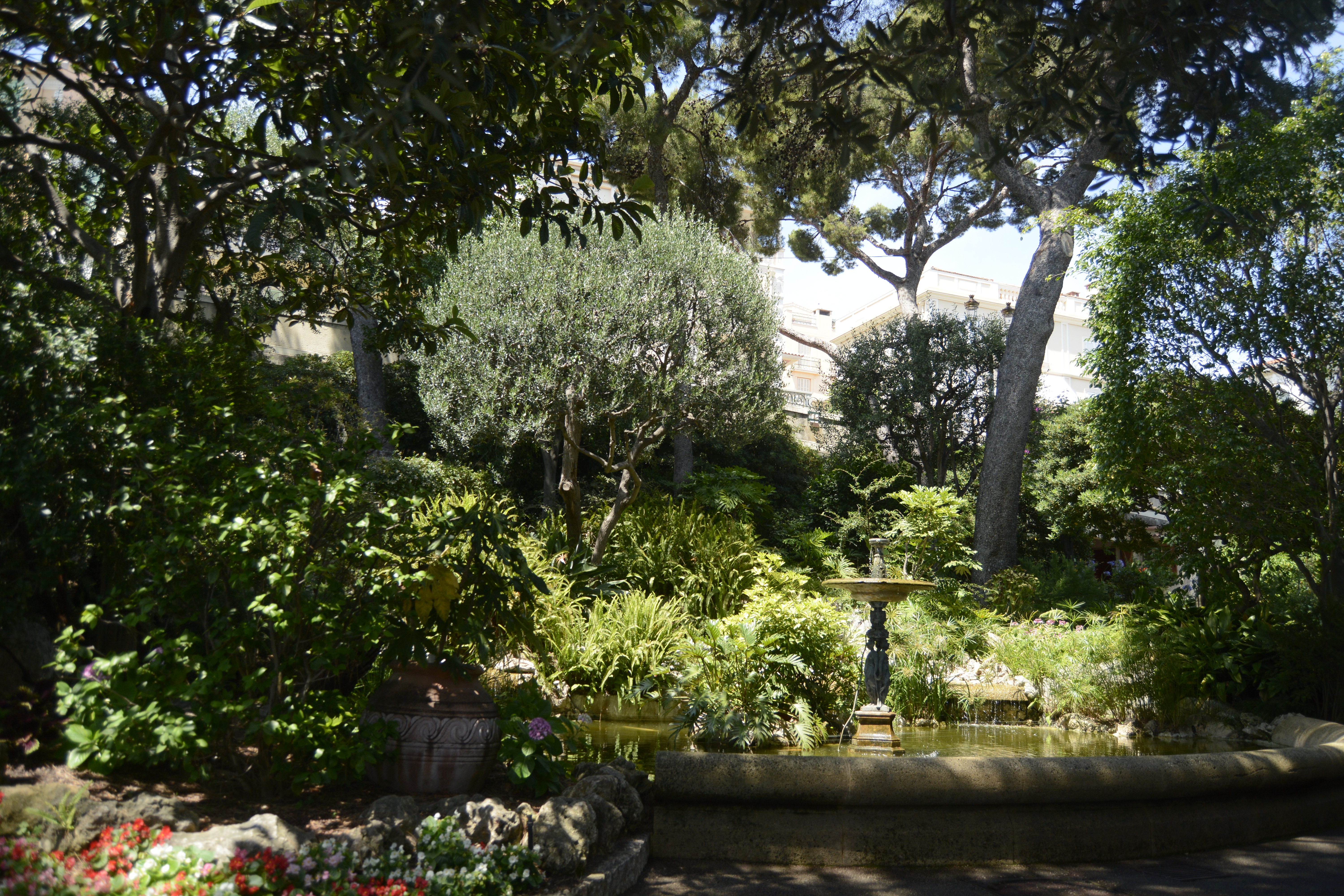 Crédit : Auriane Guiot pour le Journal International Crédit : Auriane Guiot pour le Journal International