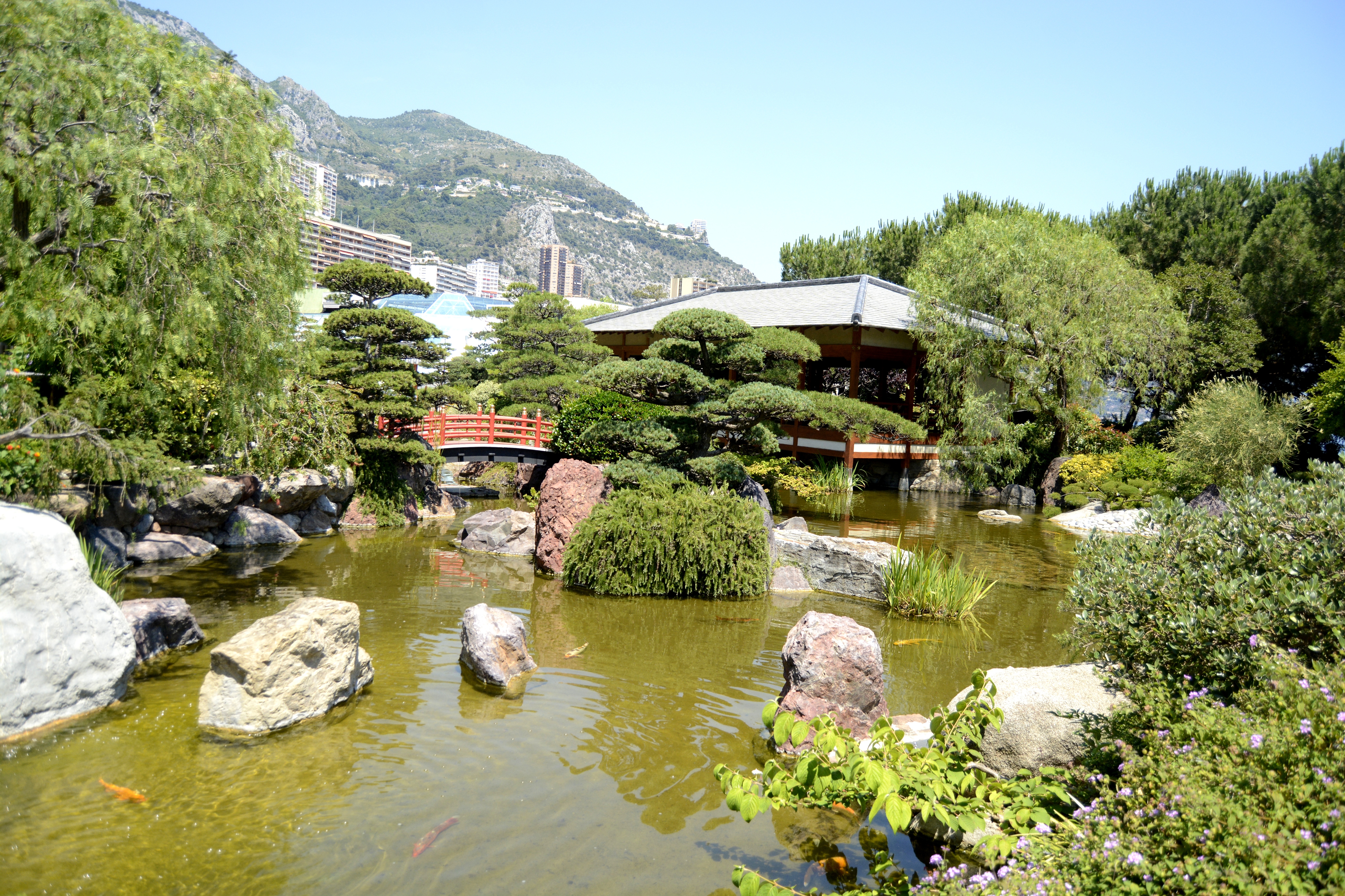 Crédit : Auriane Guiot pour le Journal International Crédit : Auriane Guiot pour le Journal International