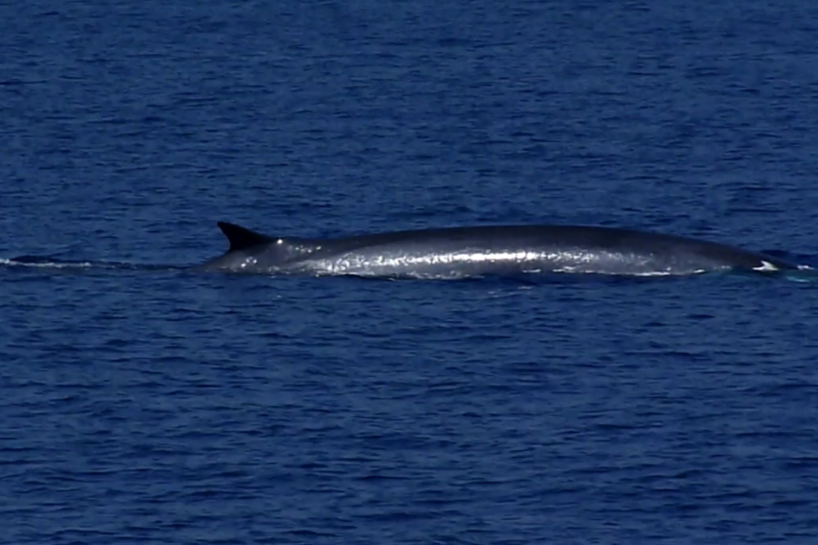 Crédit : DR Crédit : DR