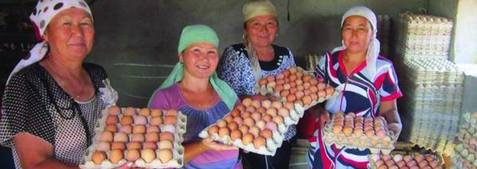 Plus de 75 000 fermiers ont reçu l'assistance de l'USAID. Crédits USAID