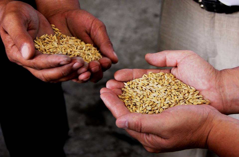 Lassistance américaine dans le secteur de l'agriculture. Crédit USAID Lassistance américaine dans le secteur de l'agriculture. Crédit USAID