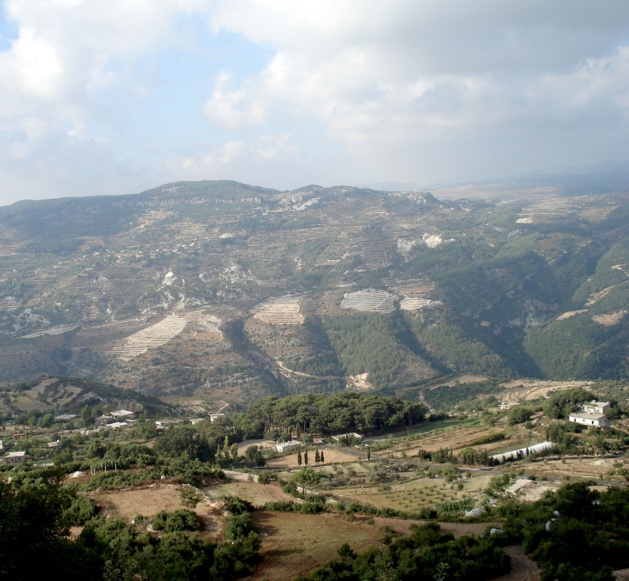 Credit : Bruno Paoli Credit : Bruno Paoli