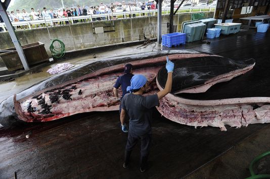 Crédito da foto: AP / Shuji Kajiyama