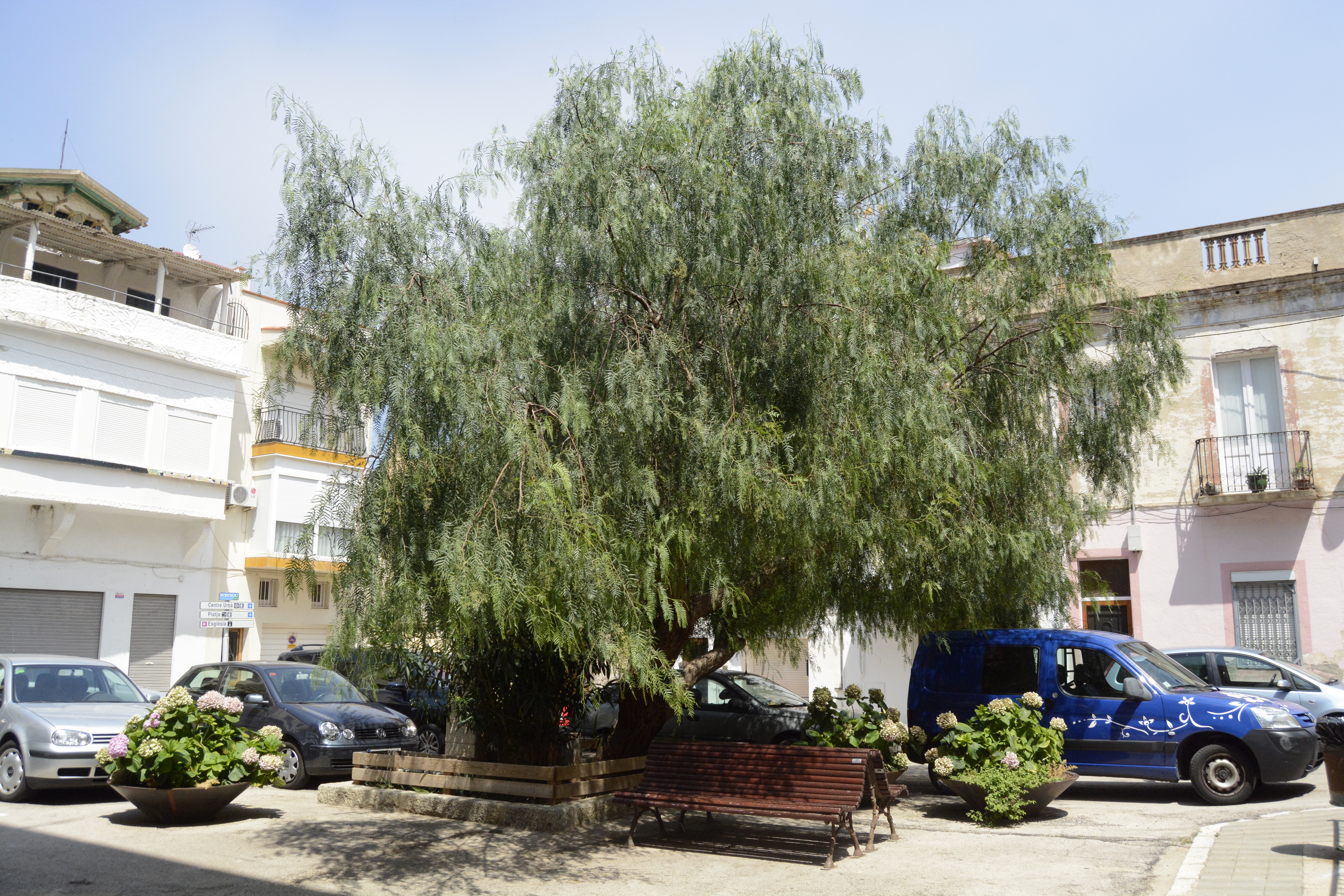 La Plaza Major, déserte. Crédit Auriane Guiot