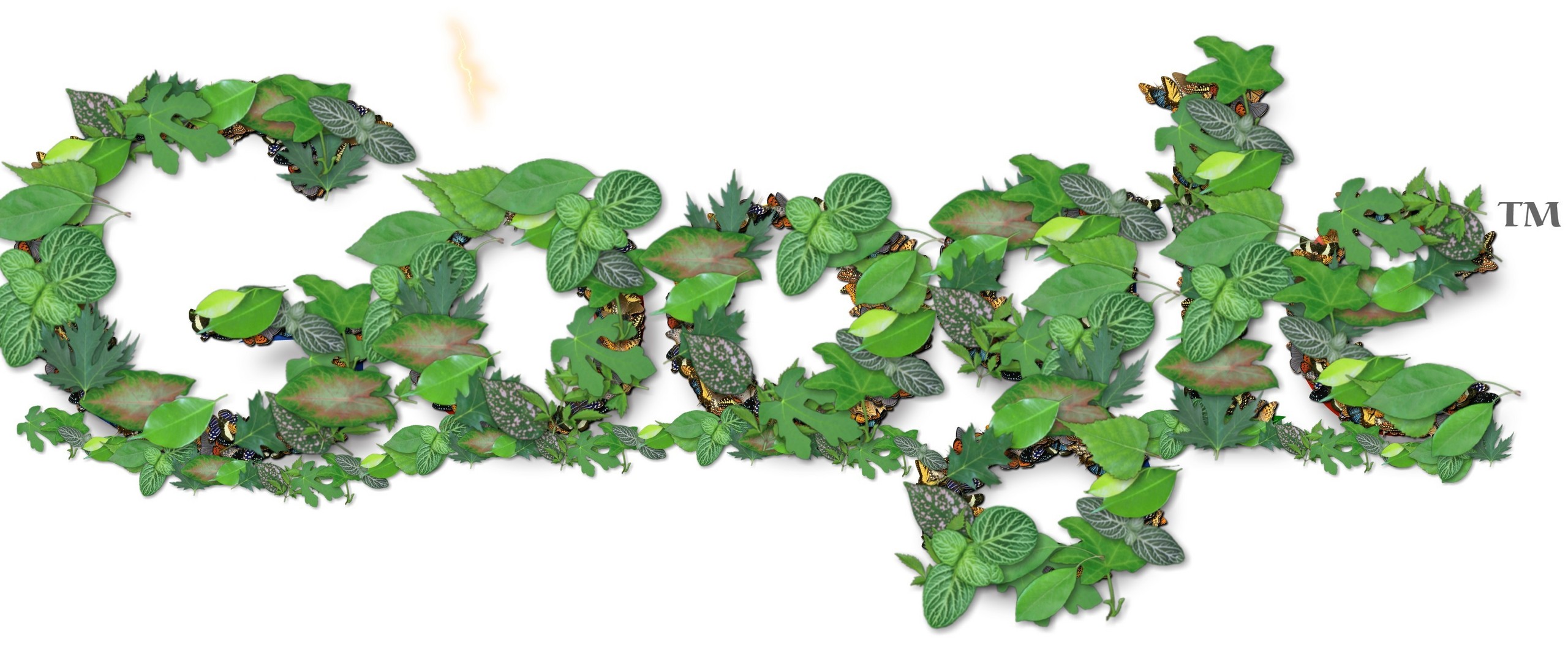 Crédit Google