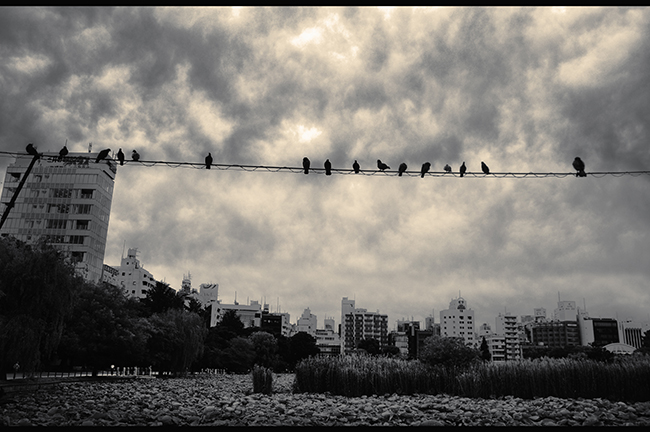 Crédit Chloé Marchal Crédit Chloé Marchal