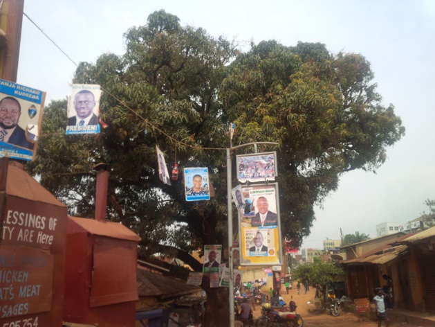 Credits Noé Michalon Credits Noé Michalon