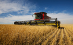 Accord de libre échange entre UE et États-Unis : l'agriculture en danger