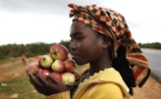 Angola : the new major African economic force