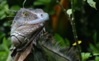 Costa Rica, la ecología como sello