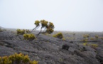 Medio ambiente: ¿habremos alcanzado el punto de no retorno?