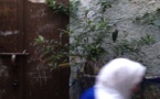 In the heart of Fes : getting to know the medina