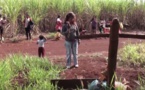 Guarani-Kaiowá, threatened people (2/3)