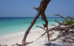 Escapade malaisienne : une plongée exotique vers la diversité (1/2)