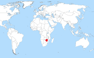 Zimbabwe : une manifestation contre le gouvernement sévèrement réprimée