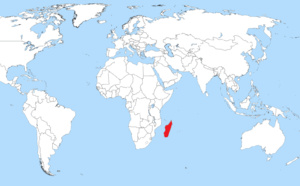 Madagascar : le directeur de la FAO signale des risques de famine Madagascar : le directeur de la FAO signale des risques de famine