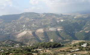 Dividere per regnare al meglio: gli alawiti e il regime di Damasco