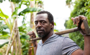 Guerilla Gardening: verdure all'attacco dell'asfalto Guerilla Gardening: verdure all'attacco dell'asfalto