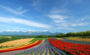 Nouvel accord agricole entre le Japon et le Vietnam
