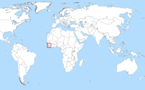 Sierra Leone : la foule déterre des poulets avariés dans une décharge