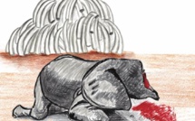 Ivoire : le commerce à tout prix ? Ivoire : le commerce à tout prix ?