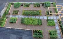 Agriculture urbaine : à Montréal, l'avenir est sur les toits.