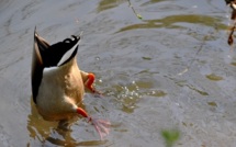 L'Europe de l'Est n'oublie pas ses vieux démons L'Europe de l'Est n'oublie pas ses vieux démons