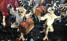 Paris : des vitrines bling-bling pour Noël Paris : des vitrines bling-bling pour Noël
