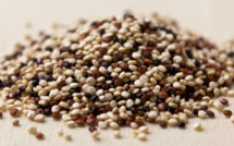 Quinoa: Bolivia’s Golden Ticket to Catastrophe