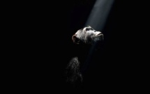 Chimpanzés : une merveilleuse rencontre signée Disney