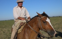 La ganadería de bovino, una destreza argentina