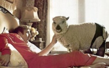 Zoophilie – trotz gesellschaftlicher Tabus nicht mehr zu ignorieren Zoophilie – trotz gesellschaftlicher Tabus nicht mehr zu ignorieren